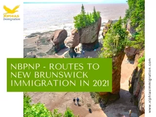 NBPNP - Routes to New Brunswick Immigration in 2021