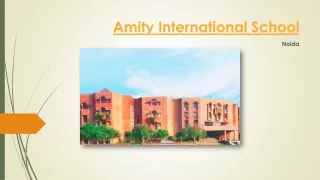 amity international school