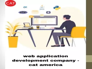 Web Application Development Company - cat america
