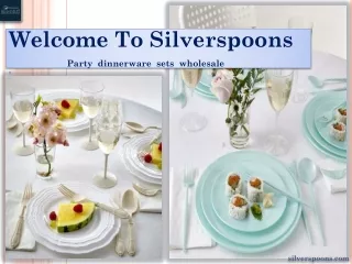 welcome to silverspoons party dinnerware sets wholesale n