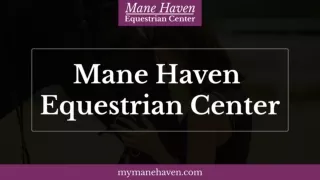 Best Horse Stable Facility | Mane Haven Equestrian Center