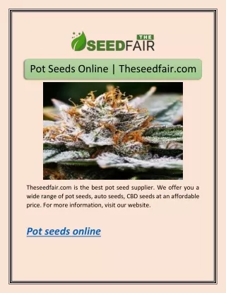 Pot Seeds Online | Theseedfair.com