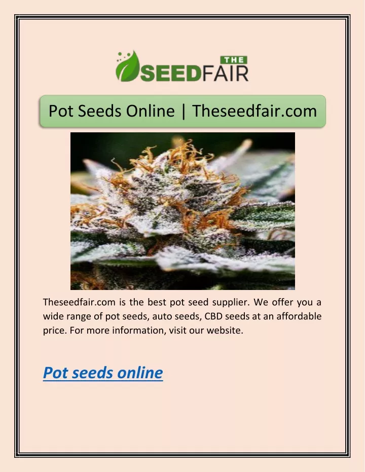 pot seeds online theseedfair com