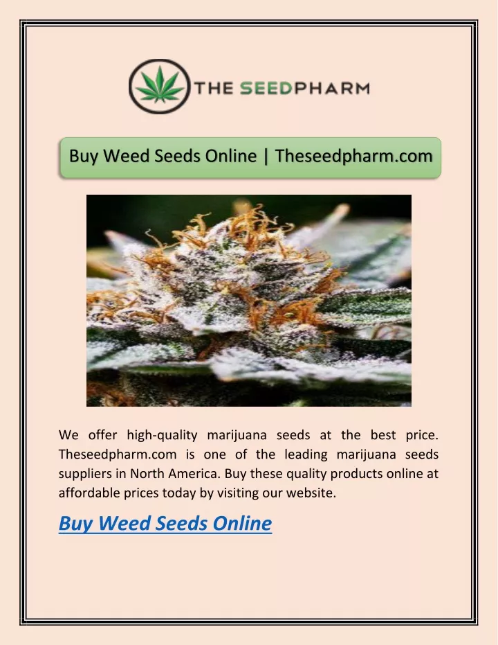 buy weed seeds online theseedpharm com