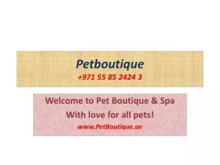 Dubai Marina Pet Supply Store,