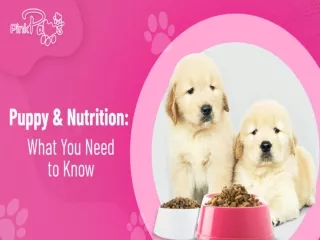 Puppy & Nutrition: What You Need to Know