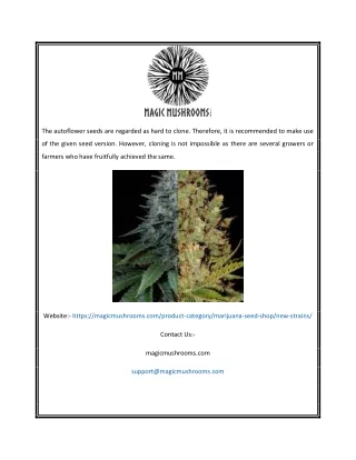 the autoflower seeds are regarded as hard