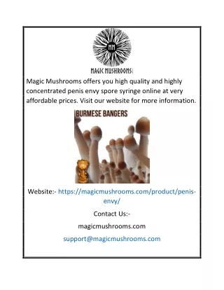 magic mushrooms offers you high quality