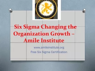 Six Sigma Changing the Organization Growth – Amile Institute