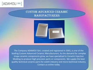 Custom Advanced Ceramic Manufacturers