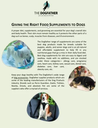 GIVING THE RIGHT FOOD SUPPLEMENTS TO DOGS