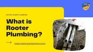 What is Rooter Plumbing? | Water Guard Plumbing