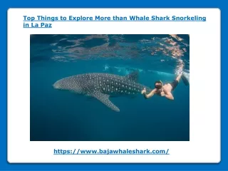 Top Things to Explore More than Whale Shark Snorkeling
