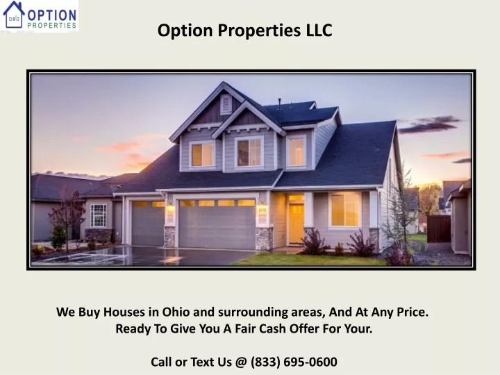 option properties llc