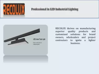 professional in led industrial lighting