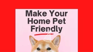 make your home pet friendly