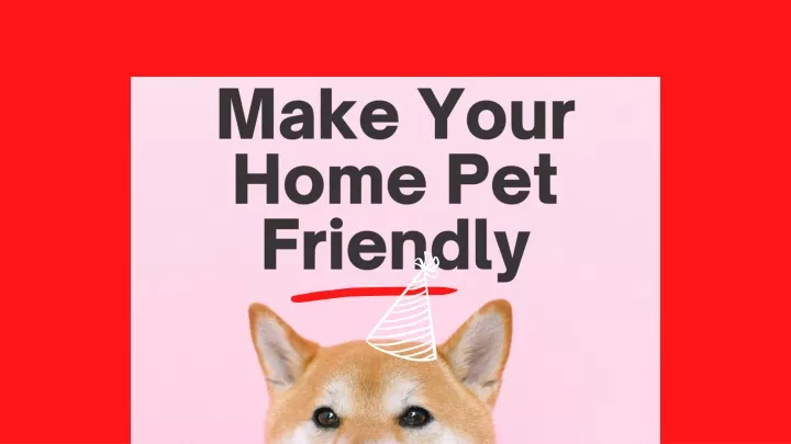 make your home pet friendly