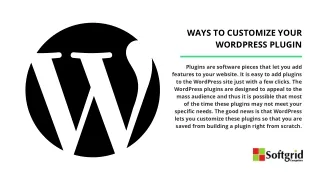 ways to customize your wordpress plugin