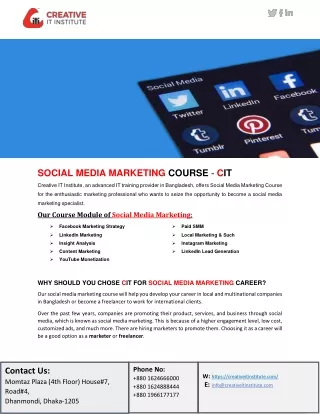 Social Media Marketing (SMM)