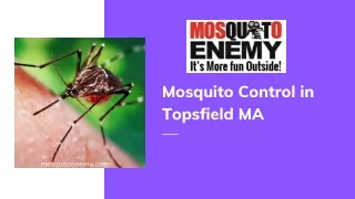 Mosquito Control in Topsfield MA
