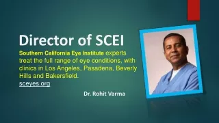 director of scei
