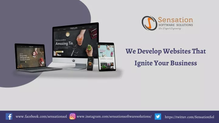 we develop websites that ignite your business