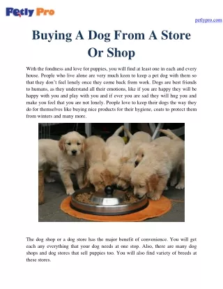 Buying A Dog From A Store Or Shop