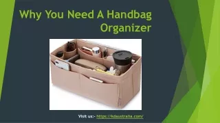Why You Need a Handbag Organizer