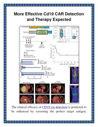 More Effective Cd19 CAR Detection and Therapy Expected