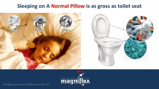 Pillow Facts by Magniflex