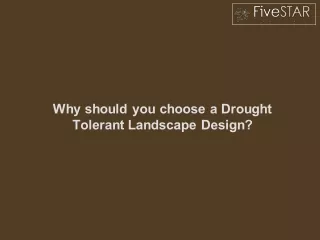 why should you choose a drought tolerant