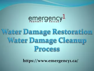 The best water damage Cleanup process