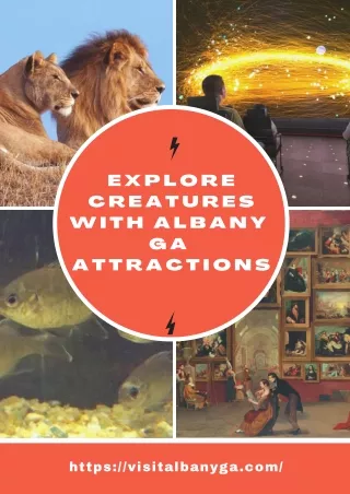Explore Creatures With Albany GA Attractions