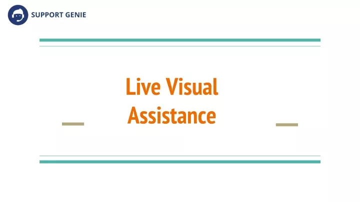 live visual assistance