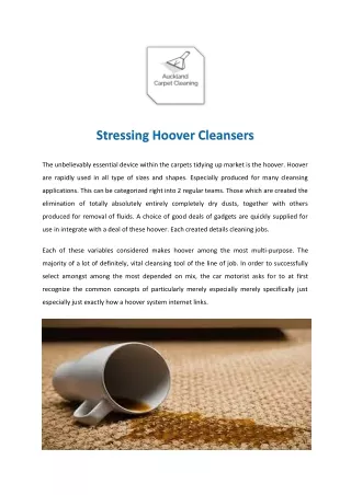 Auckland Carpet Cleaning - North Shore, West Auckland, South