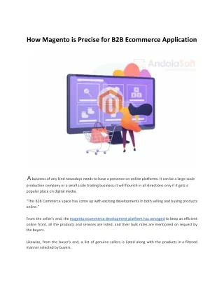 how magento is precise for b2b ecommerce