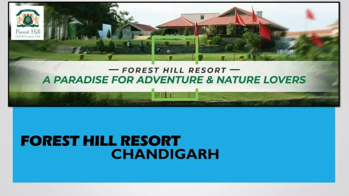 forest hill resort
