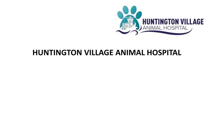 huntington village animal hospital