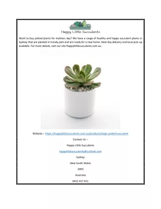 Buy Potted Plants for Mothers Day | Happylittlesucculents.com.au