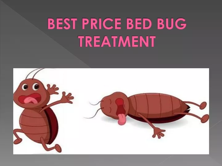 best price bed bug treatment