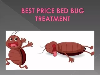 100% eradication of bed bugs with our best heat treatment