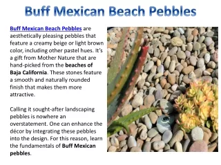 Buff Mexican Beach Pebbles