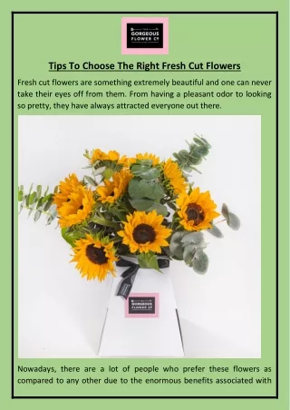 Tips To Choose The Right Fresh Cut Flowers