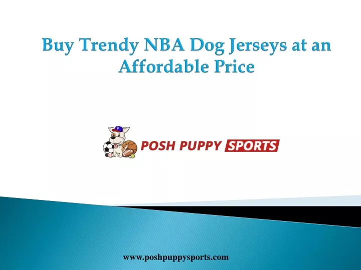 buy trendy nba dog jerseys at an affordable price