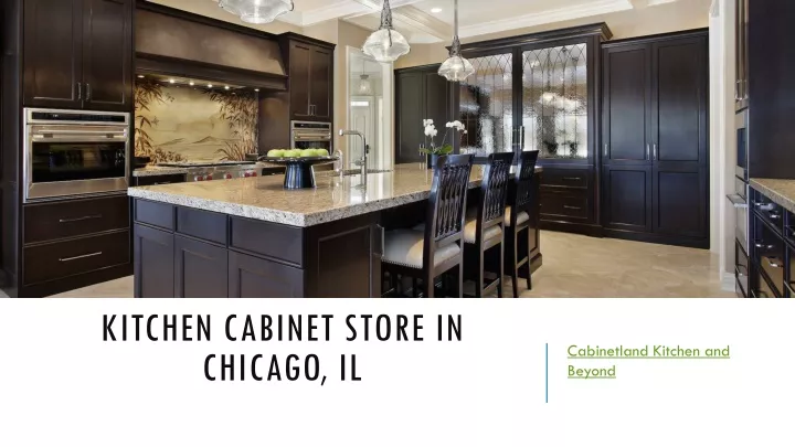 kitchen cabinet store in chicago il