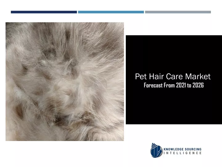 pet hair care market forecast from 2021 to 2026