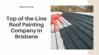 Top-of-the line Roof Painting Company in Brisbane