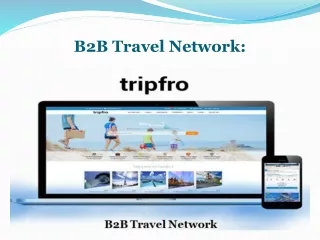 b2b travel network