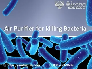 Air Purifier for Killing Bacteria available for your room and office - Airdog USA