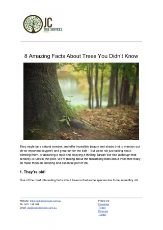 Amazing Tree Facts